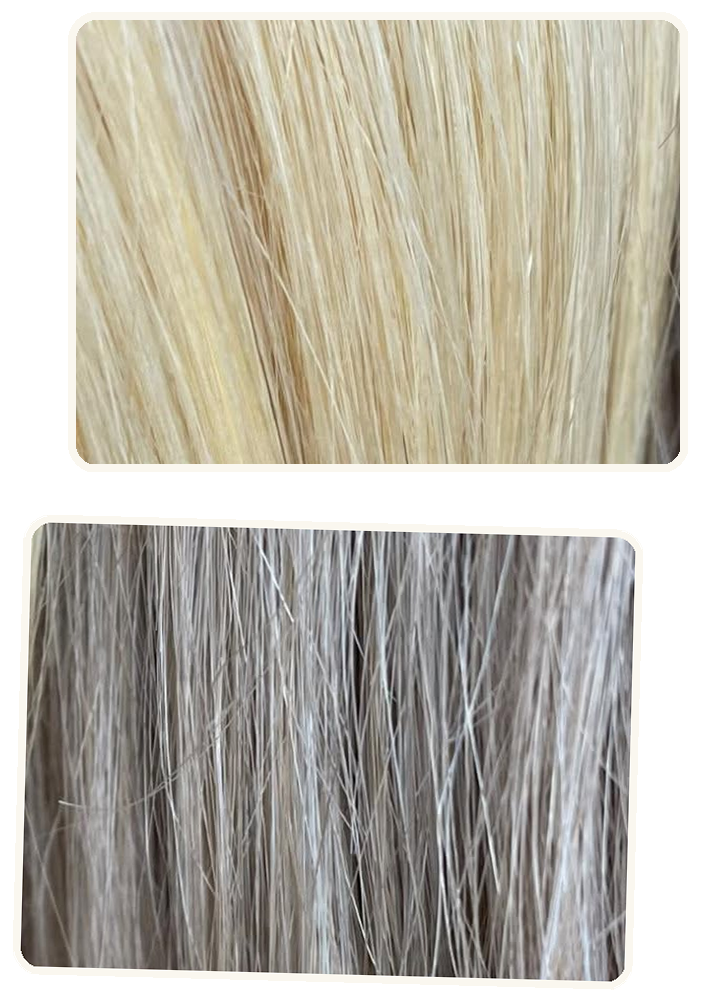 von warmen Blond zu kühlem Blond